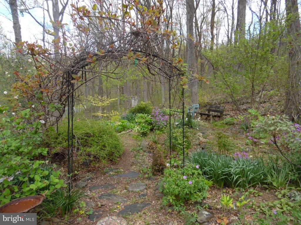 610 Wilderness Road Linden, VA 22642 - Photo 53 of 68 Four season garden