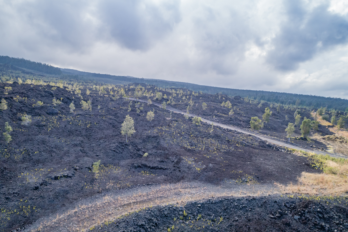 Lot D, Lot D Captain Cook, HI 96704 - Photo 7 of 8 a view of a dry yard with wooden fence