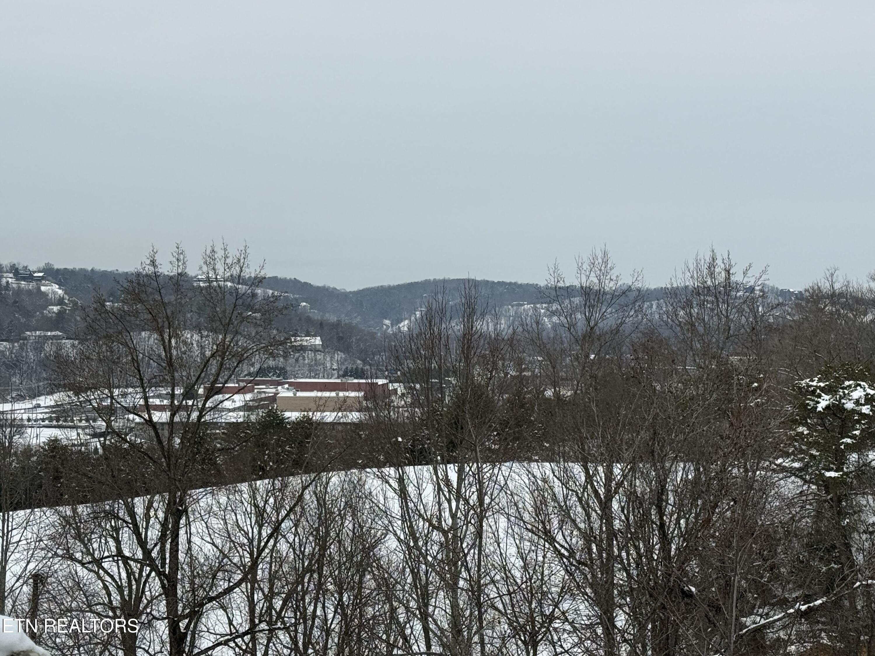 323 Silver Stone Way Pigeon Forge, TN 37863 - Photo 54 of 55 IMG_8190