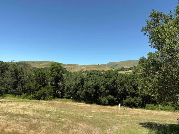 a view of a yard with a mountain