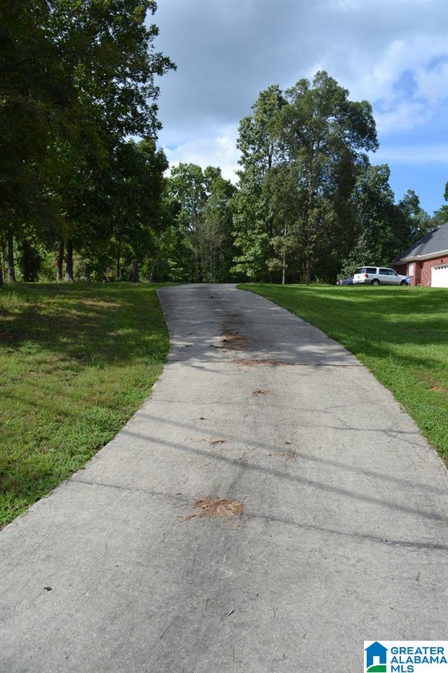1651 Brookside Coalburg Road Mount Olive, AL 35117 - Photo 19 of 20