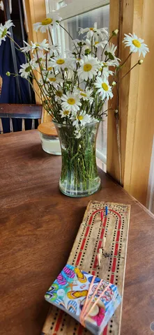 $1,100,000 | Undisclosed Address, Searsport, ME 04974