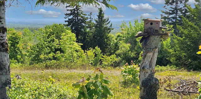 $1,100,000 | Undisclosed Address, Searsport, ME 04974