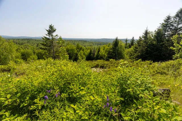 $1,100,000 | Undisclosed Address, Searsport, ME 04974