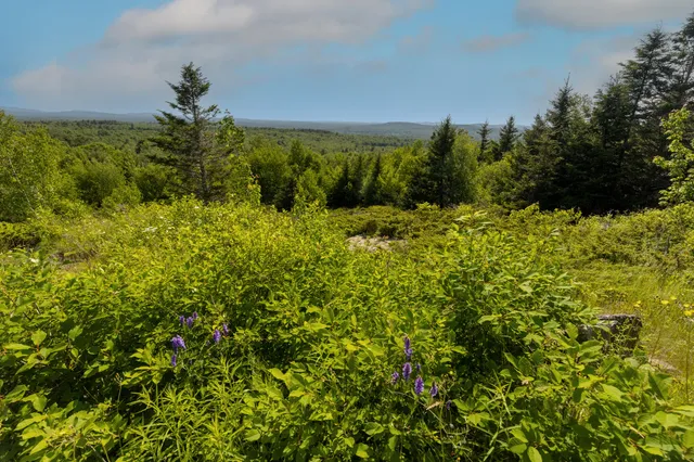 $1,100,000 | Undisclosed Address, Searsport, ME 04974