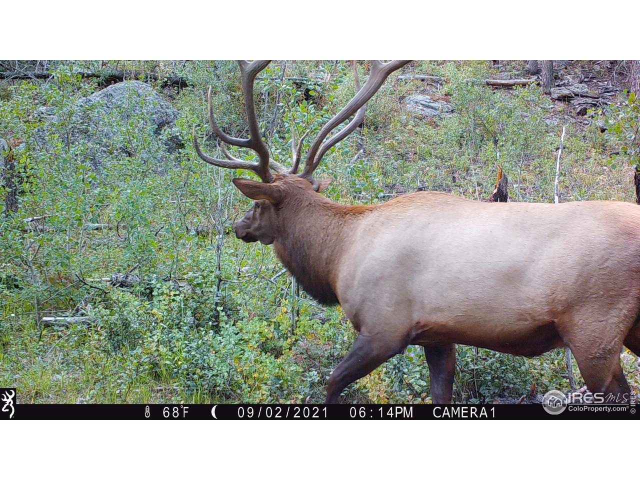 0 Old Flowers Road Bellvue, CO 80512 - Photo 17 of 40 a view of a back yard