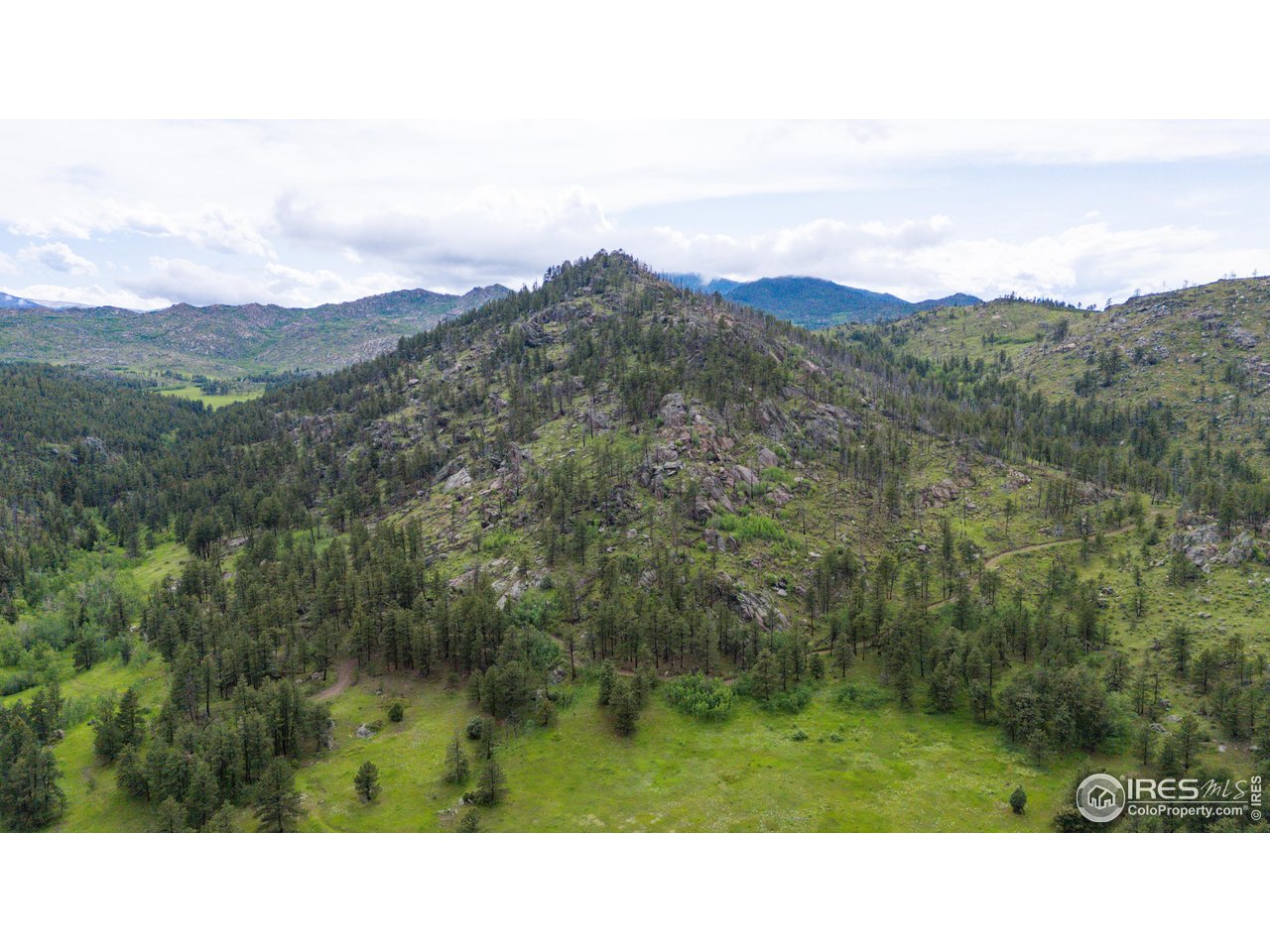 0 Old Flowers Road Bellvue, CO 80512 - Photo 20 of 40 a black and white photo of a forest