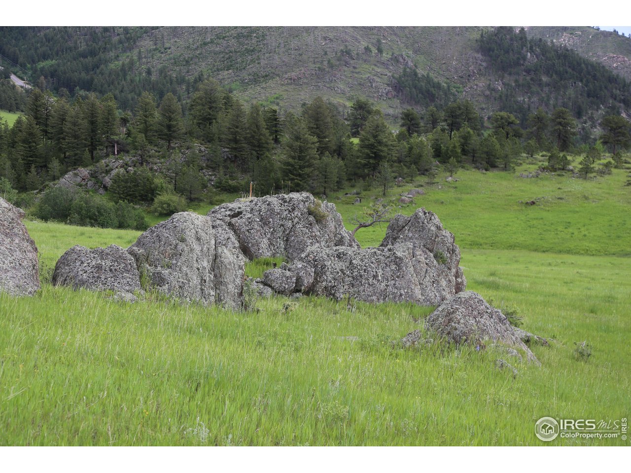 0 Old Flowers Road Bellvue, CO 80512 - Photo 24 of 40 a backyard of a house with lots of green space