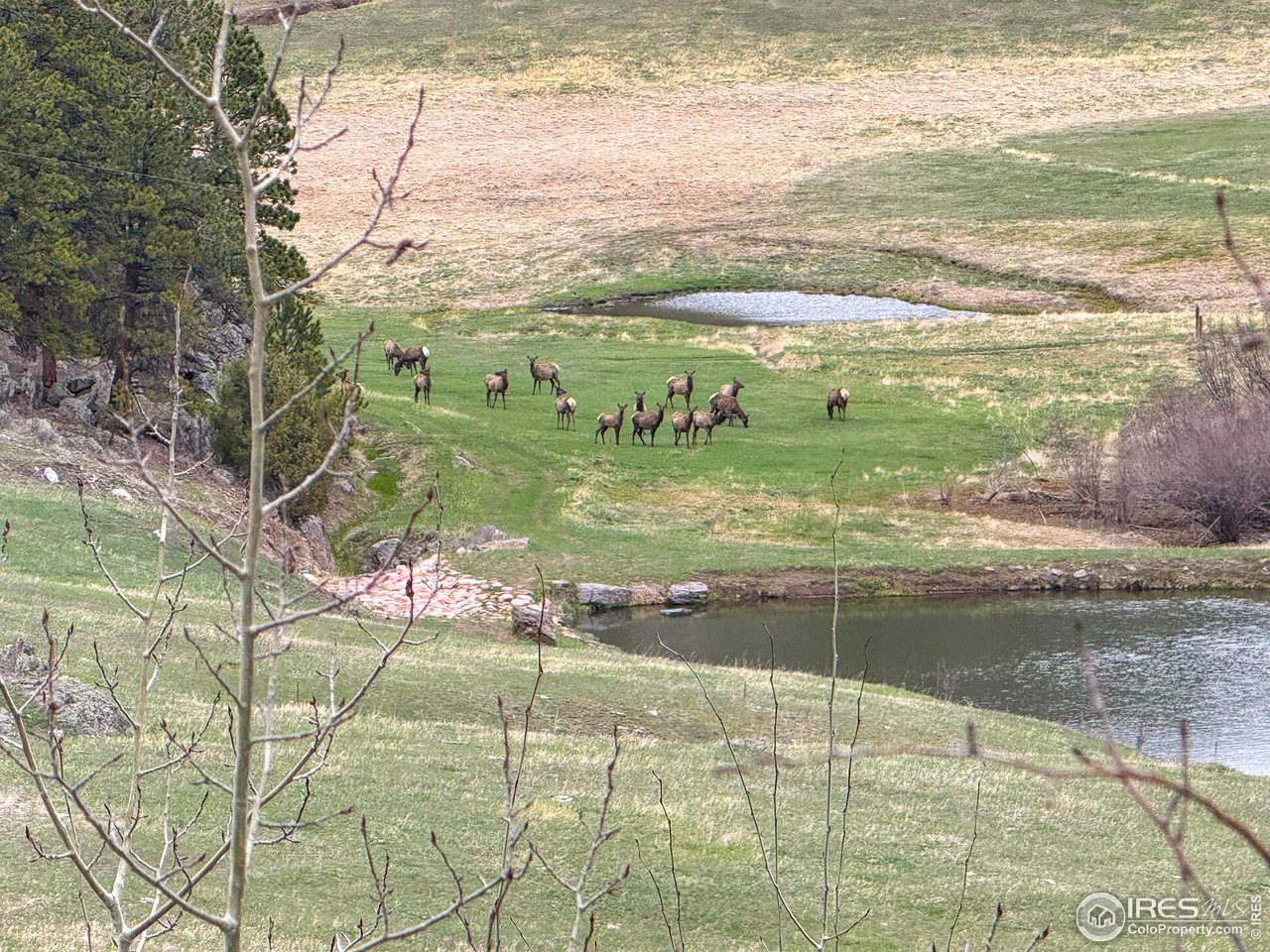 0 Old Flowers Road Bellvue, CO 80512 - Photo 30 of 40 a view of an outdoor space and a lake view