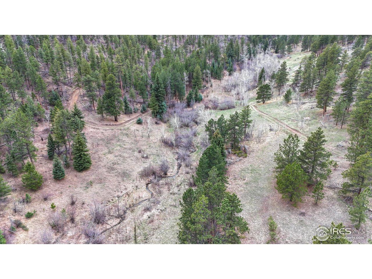 0 Old Flowers Road Bellvue, CO 80512 - Photo 31 of 40 a black and white photo of a house