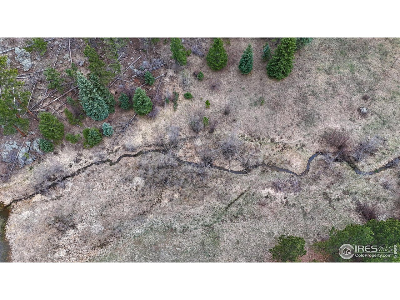 0 Old Flowers Road Bellvue, CO 80512 - Photo 32 of 40 a black and white photo of a house