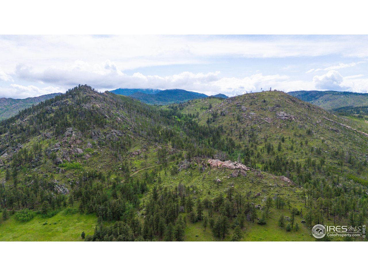 0 Old Flowers Road Bellvue, CO 80512 - Photo 33 of 40 a black and white photo of a forest