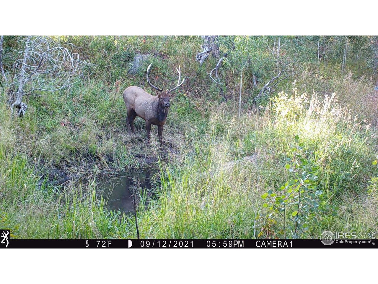 0 Old Flowers Road Bellvue, CO 80512 - Photo 34 of 40 a black and white photo of a lake