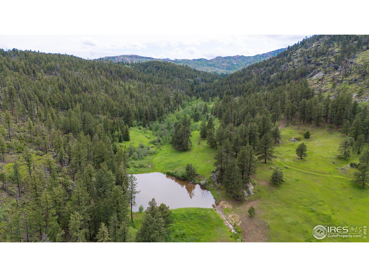 0 Old Flowers Road Bellvue, CO 80512 - Photo 39 of 40 a open area with green field