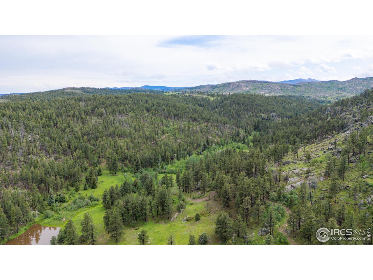0 Old Flowers Road Bellvue, CO 80512 - Photo 40 of 40 a open area with mountains in the background