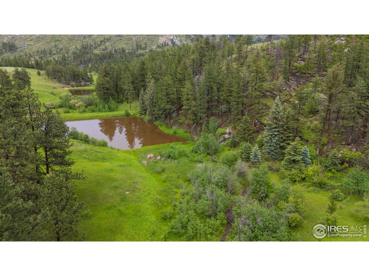 0 Old Flowers Road Bellvue, CO 80512 - Photo 5 of 40 a open area with a yard