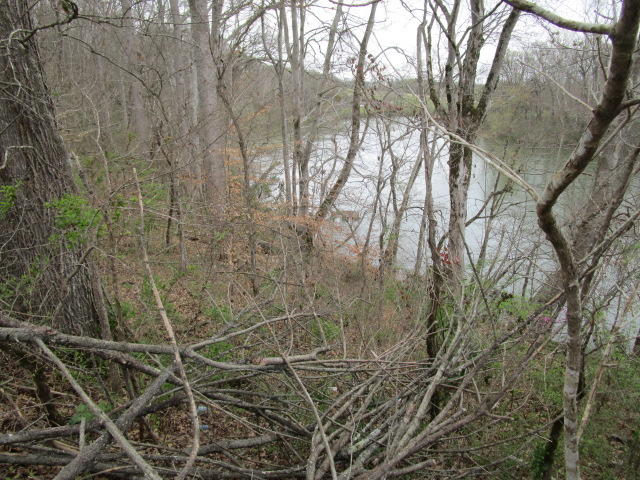 Horseshoe Bend Road Blaine, TN 37709 - Photo 8 of 8 IMG_1520