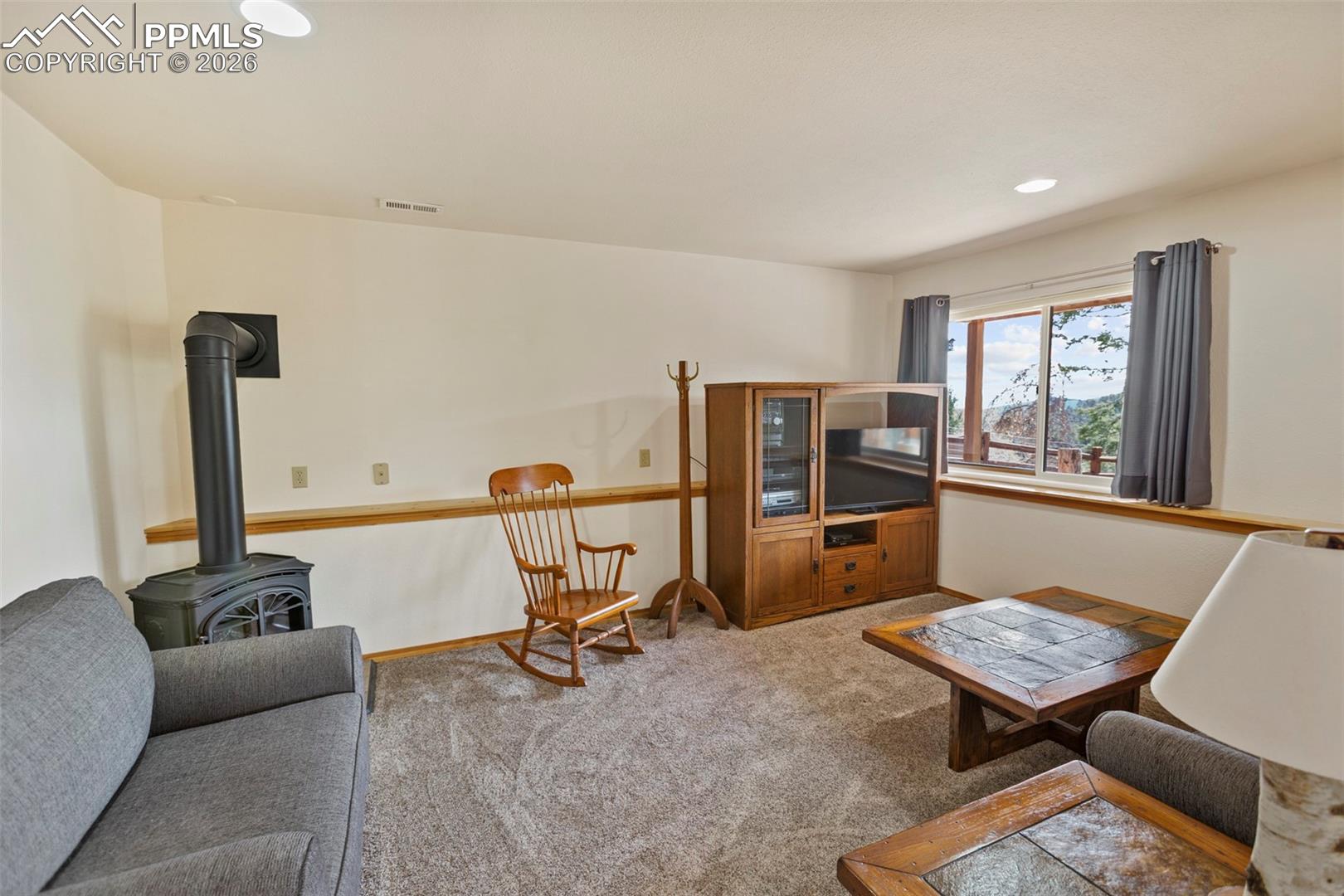 595 Bird Point Road Florissant, CO 80816 - Photo 19 of 35 Lower Level Family Room