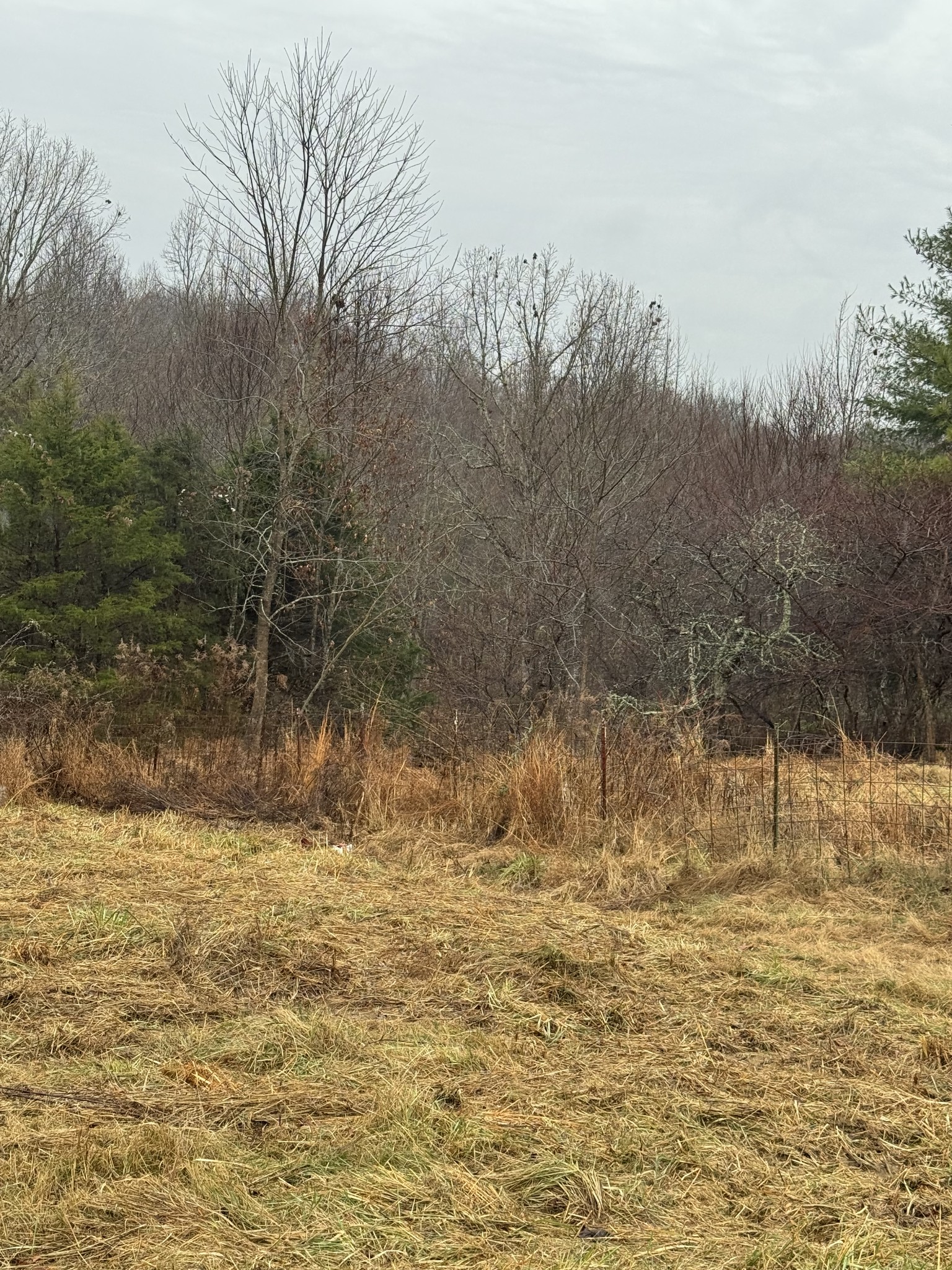 6 Jimtown Road Lafayette, TN 37083 - Photo 2 of 3