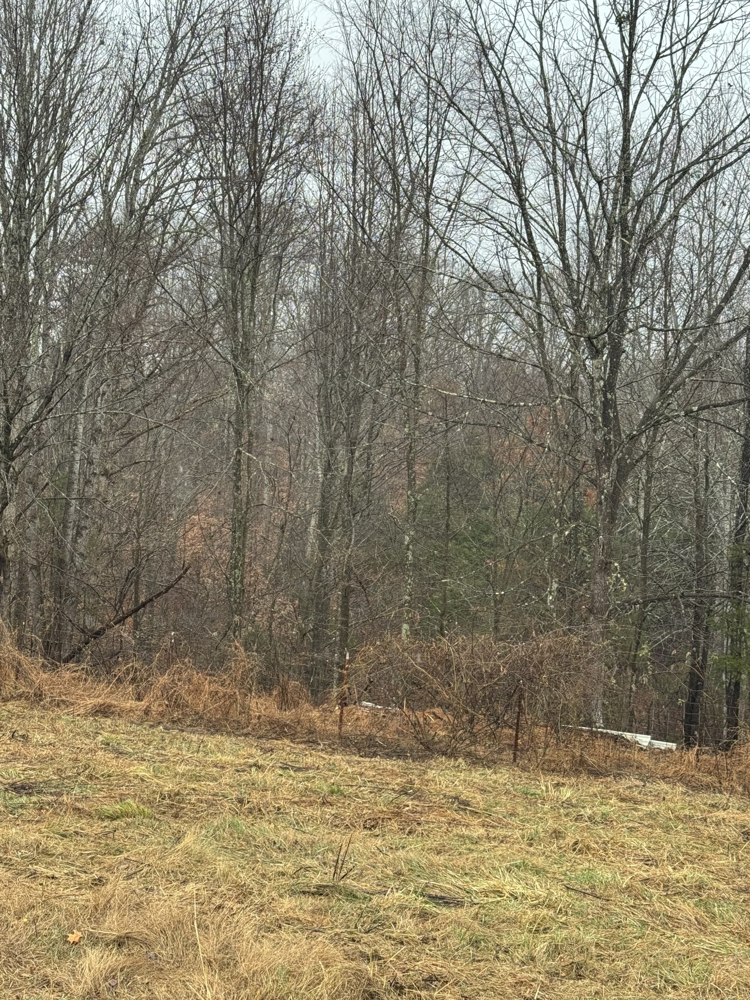 6 Jimtown Road Lafayette, TN 37083 - Photo 3 of 3