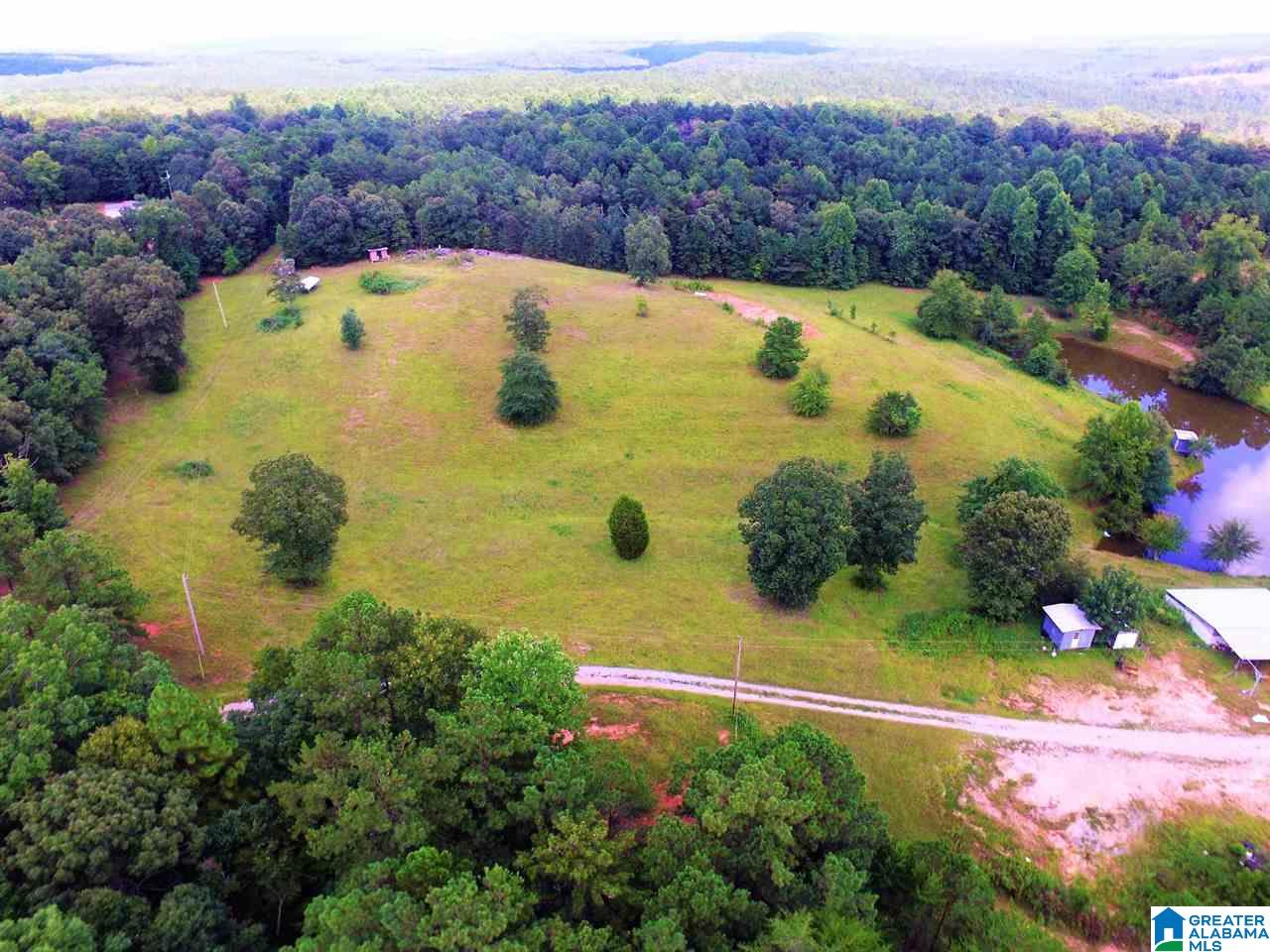 950 County Road 478, Unit 1 Clanton, AL 35046 - Photo 6 of 31