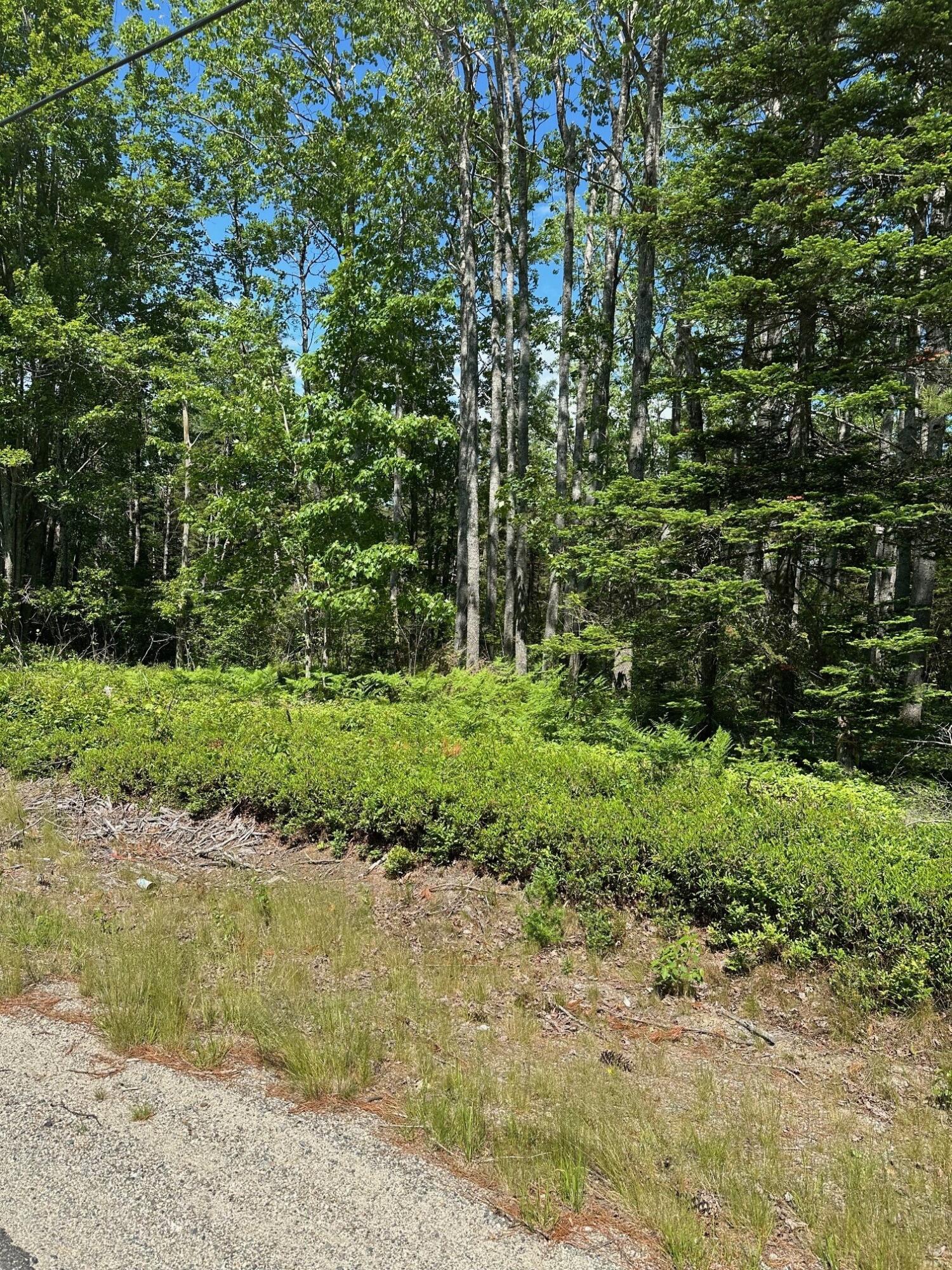 Lot 5 Marshville Road Harrington, ME 04643 - Photo 1 of 6 2