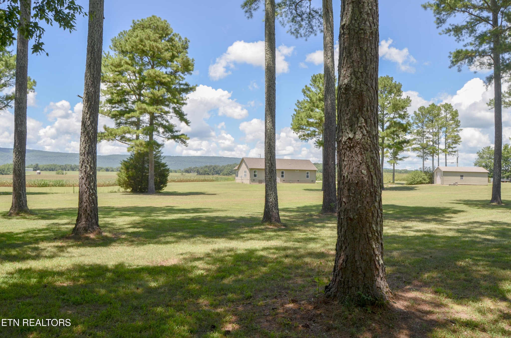 241 Terry Road Pikeville, TN 37367 - Photo 45 of 47