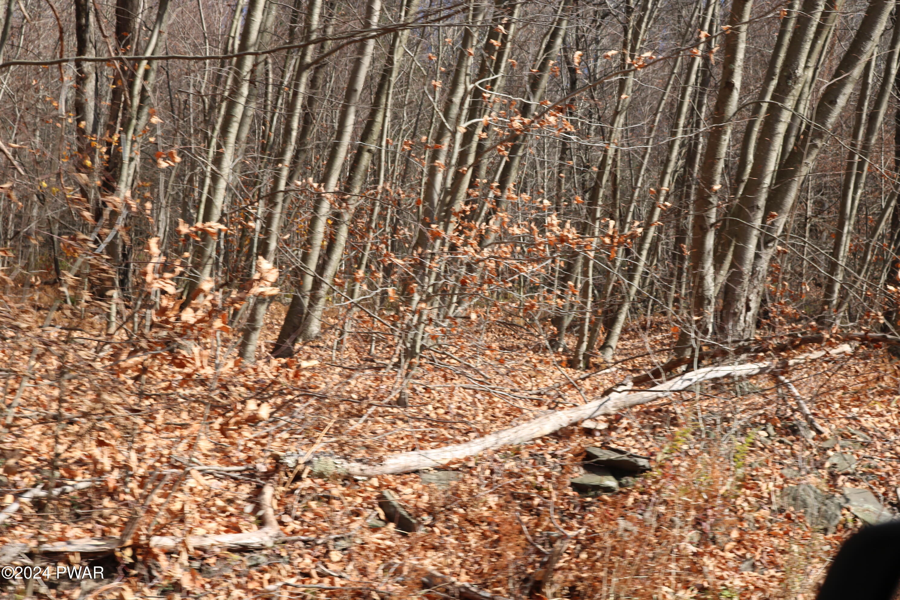 0 Rose Hill Road Lake Como, PA 18437 - Photo 10 of 10