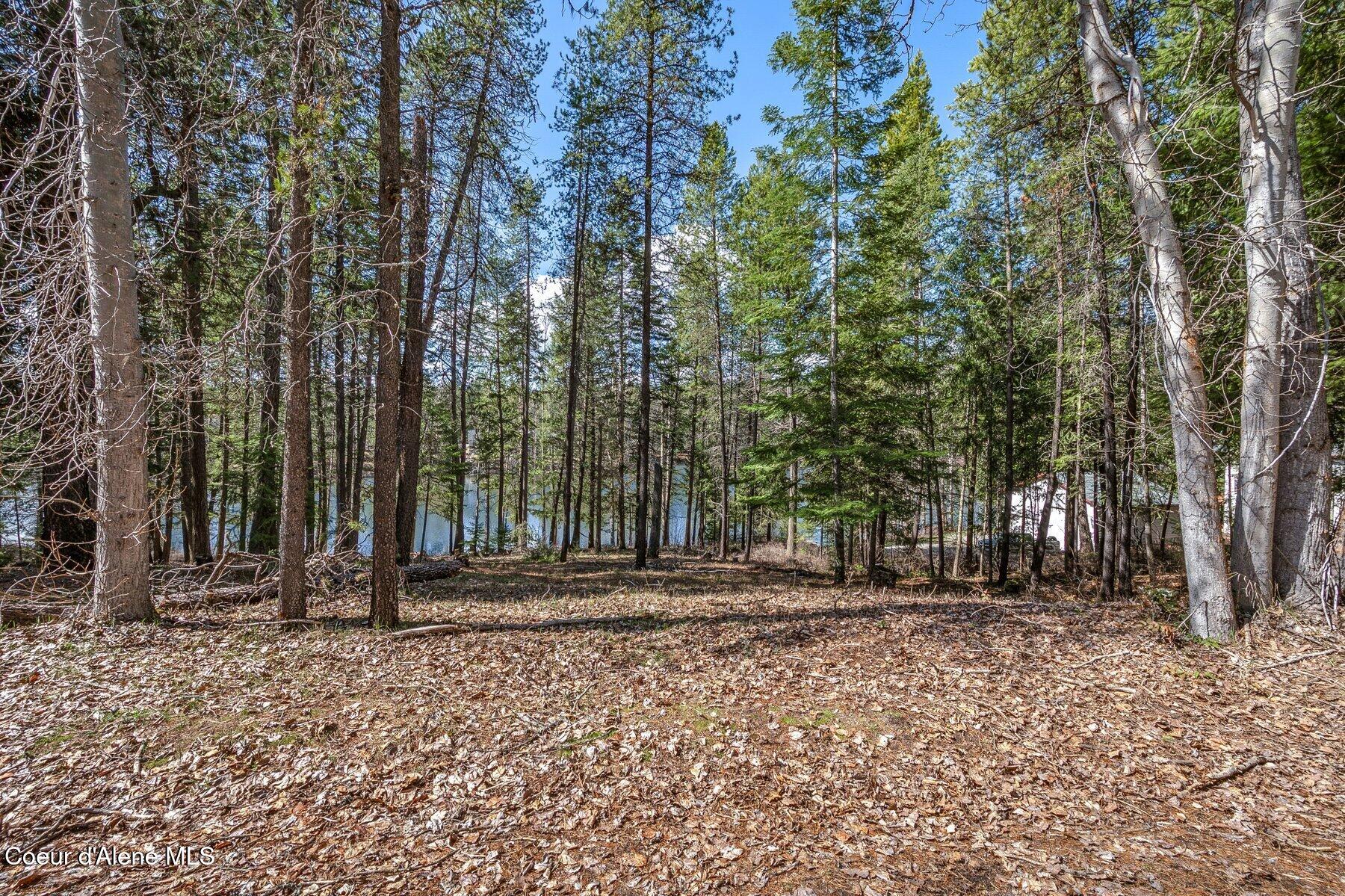 Nna Nna Hanaford Road Blanchard, ID 83804 - Photo 22 of 30 Hanaford Lot view