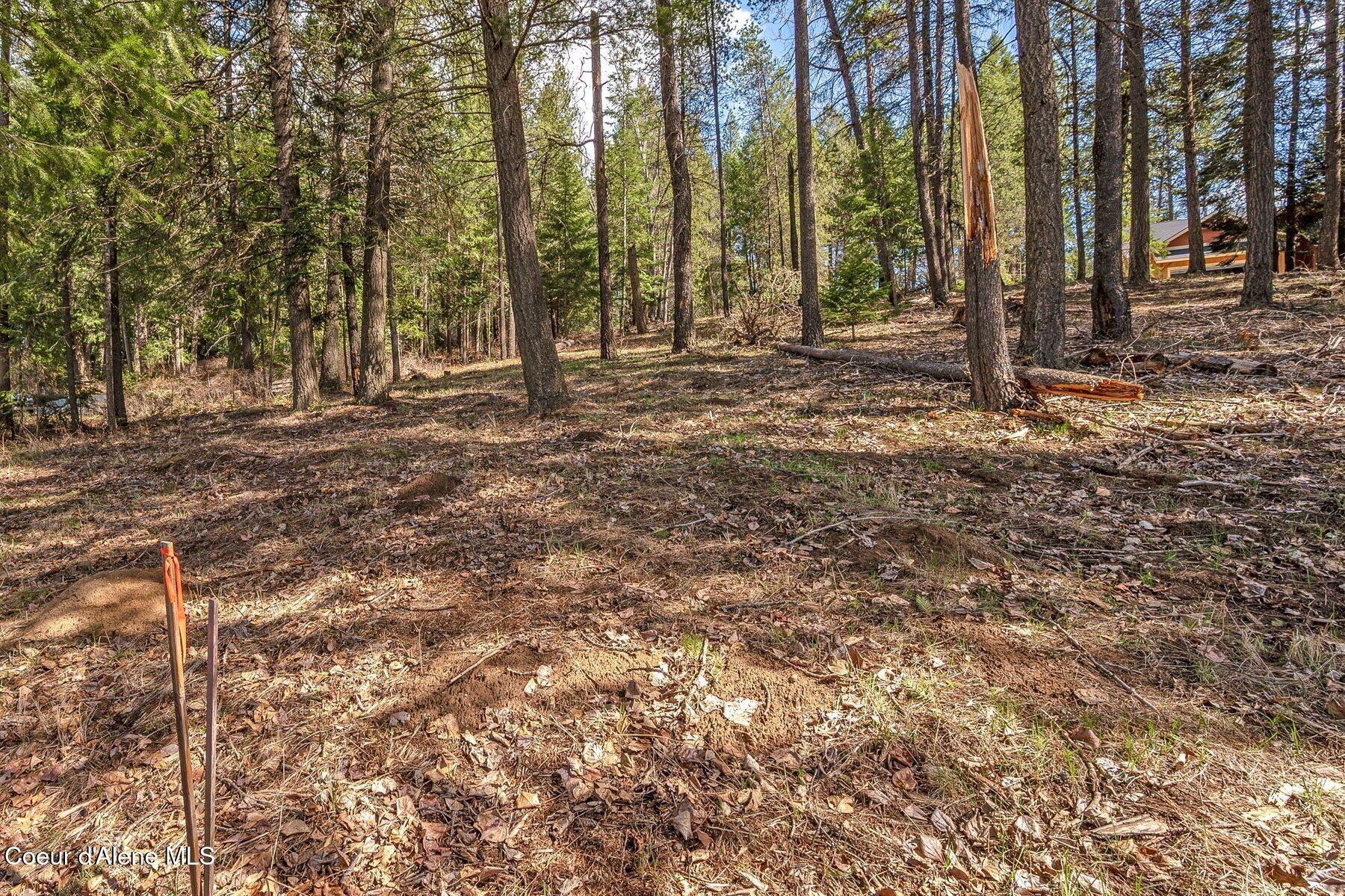 Nna Nna Hanaford Road Blanchard, ID 83804 - Photo 23 of 30 Hanaford Lower Corner