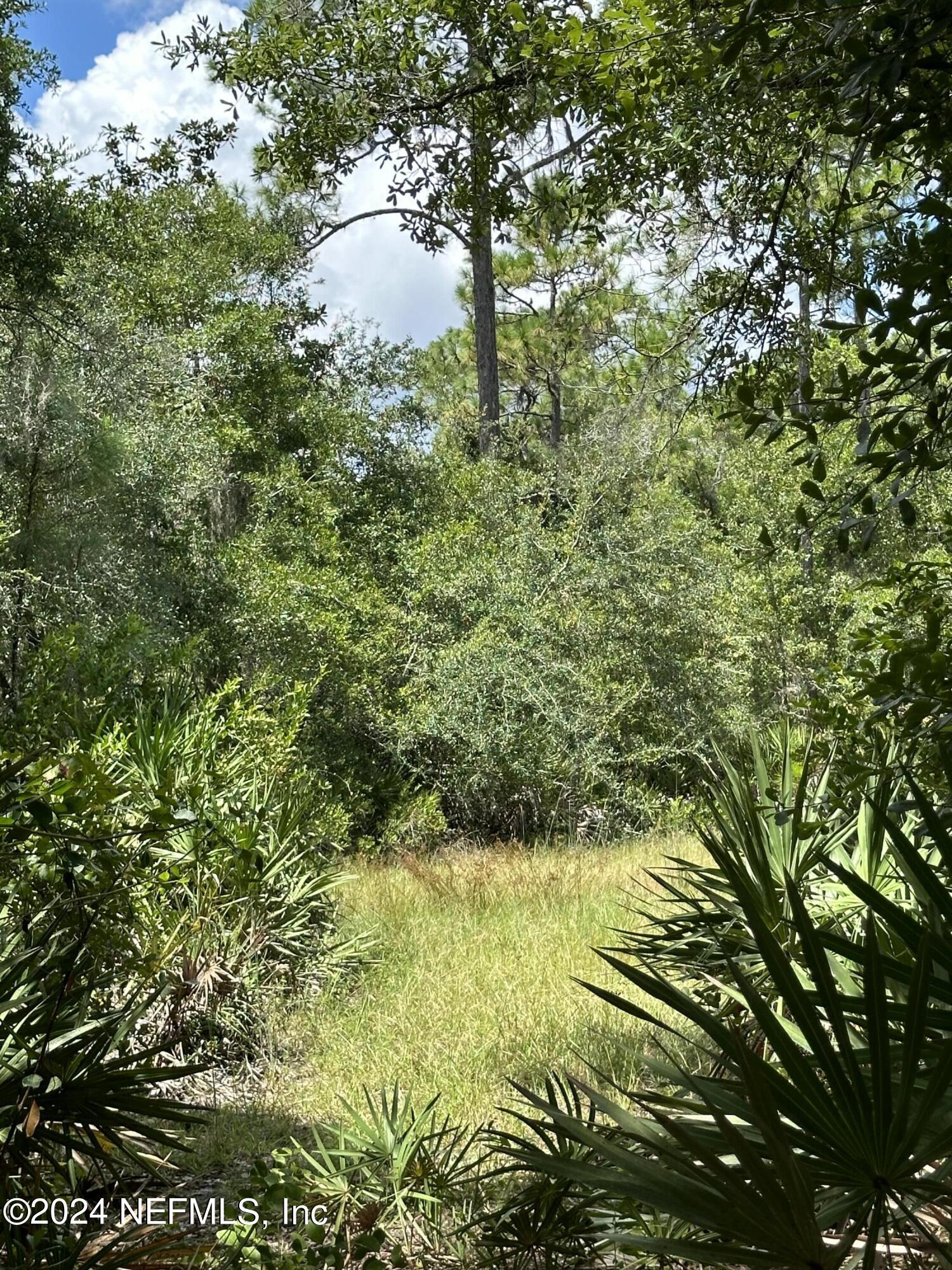 280 West River Road Palatka, FL 32177 - Photo 8 of 39 IMG_2079