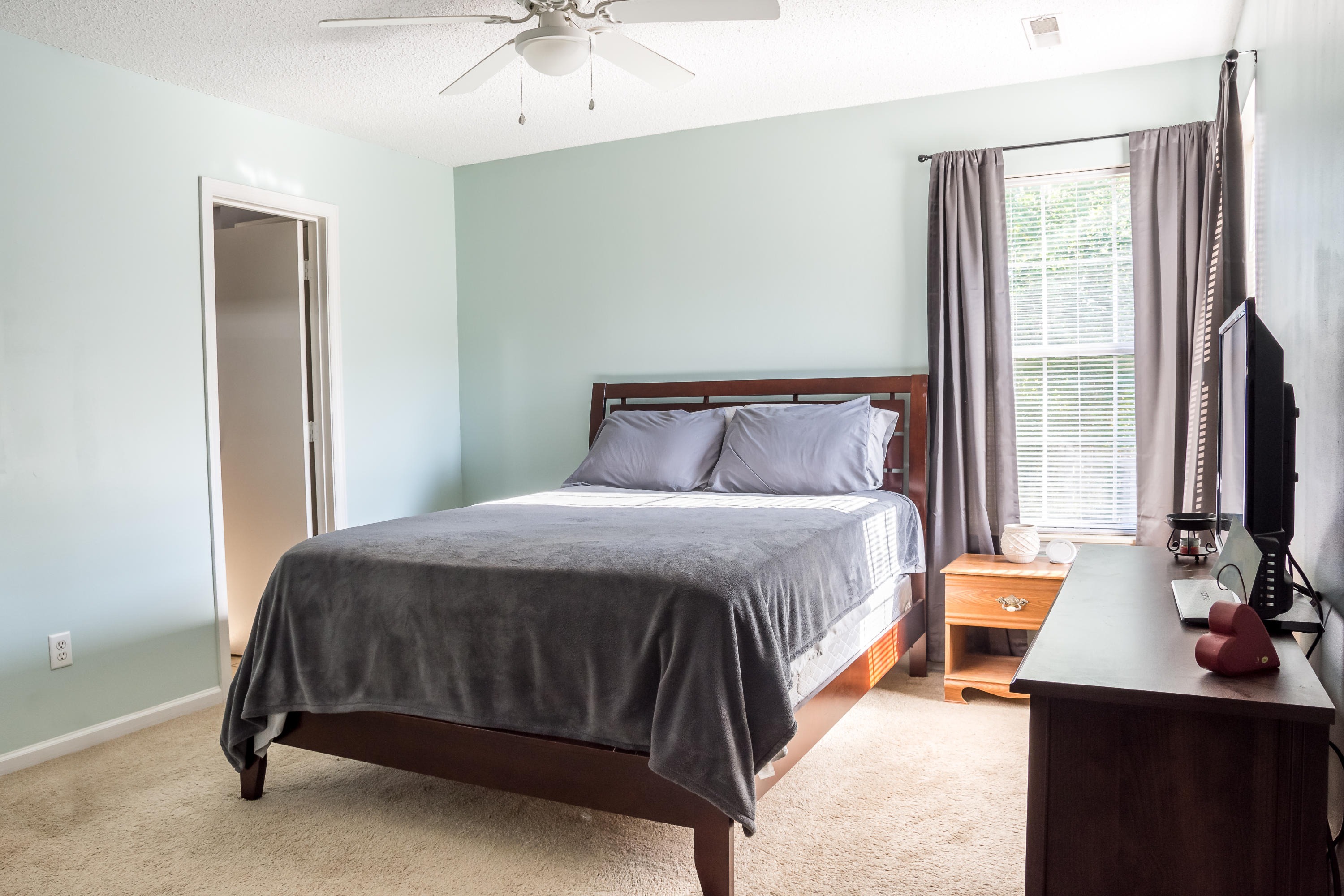 133 Alcester Road Goose Creek, SC 29445 - Photo 10 of 17 Master Bedroom