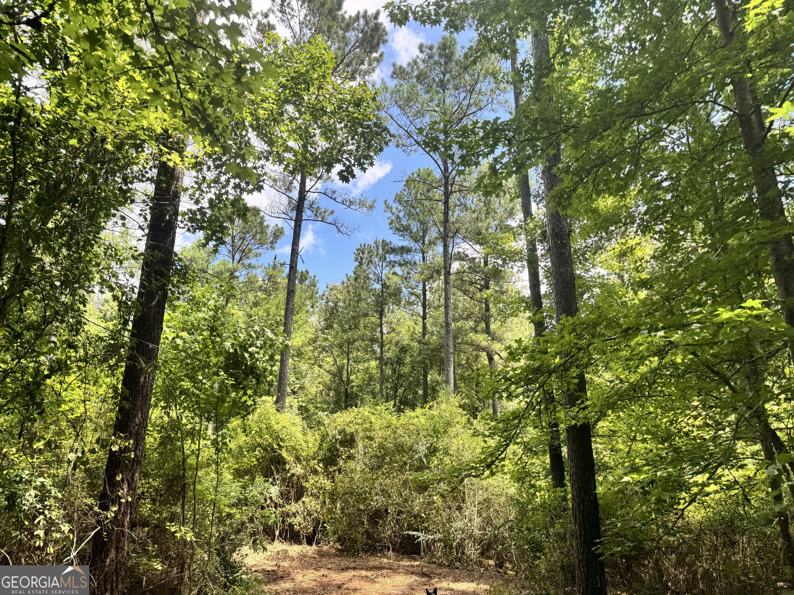 13.4-ac Johnson Road Hogansville, GA 30230 - Photo 1 of 1 Gallery Image 1