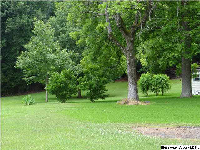 8357 Dunnavant Road Leeds, AL 35094 - Photo 19 of 22