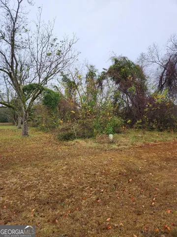 a view of a yard with a tree