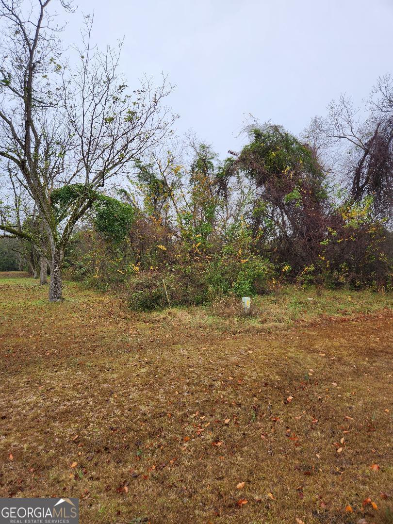a view of a yard with a tree