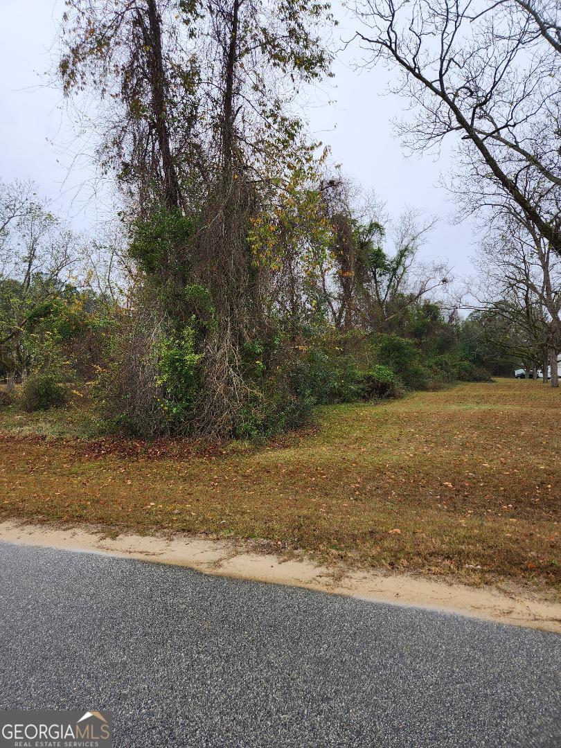 527 Windmill Road Metter, GA 30439 - Photo 2 of 3 a view of beach and lake