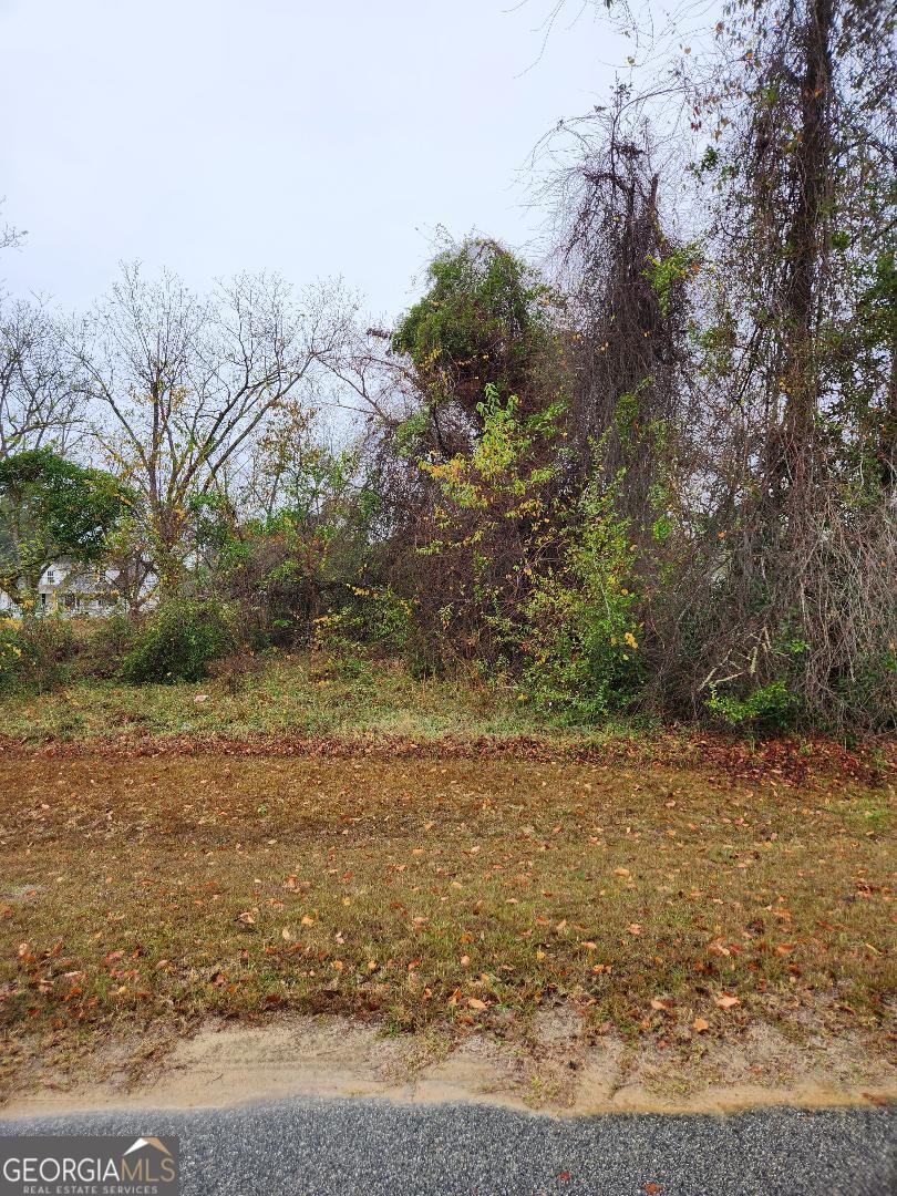 527 Windmill Road Metter, GA 30439 - Photo 3 of 3 a view of a yard with a tree