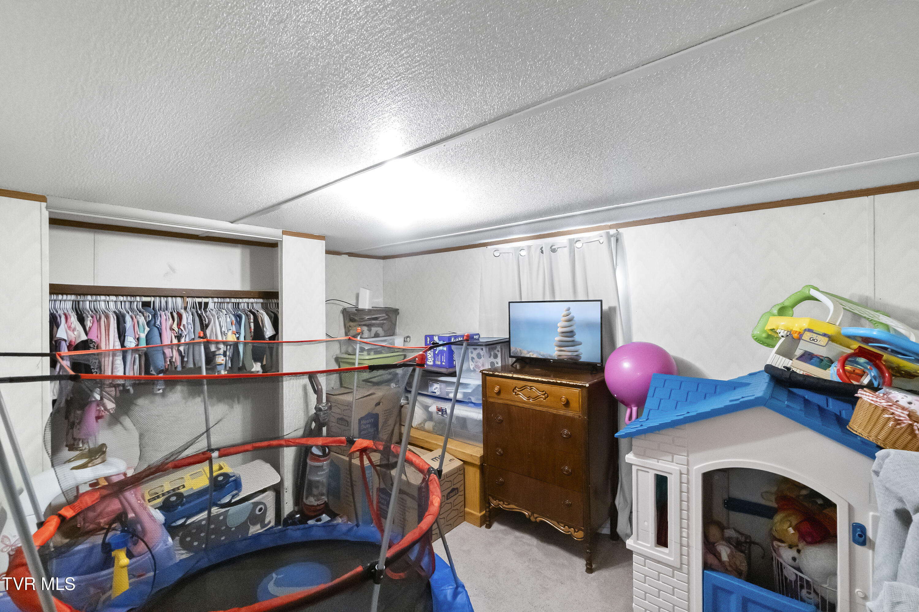 1824 Elmer Hayes Road Mosheim, TN 37818 - Photo 16 of 32 DSC06251