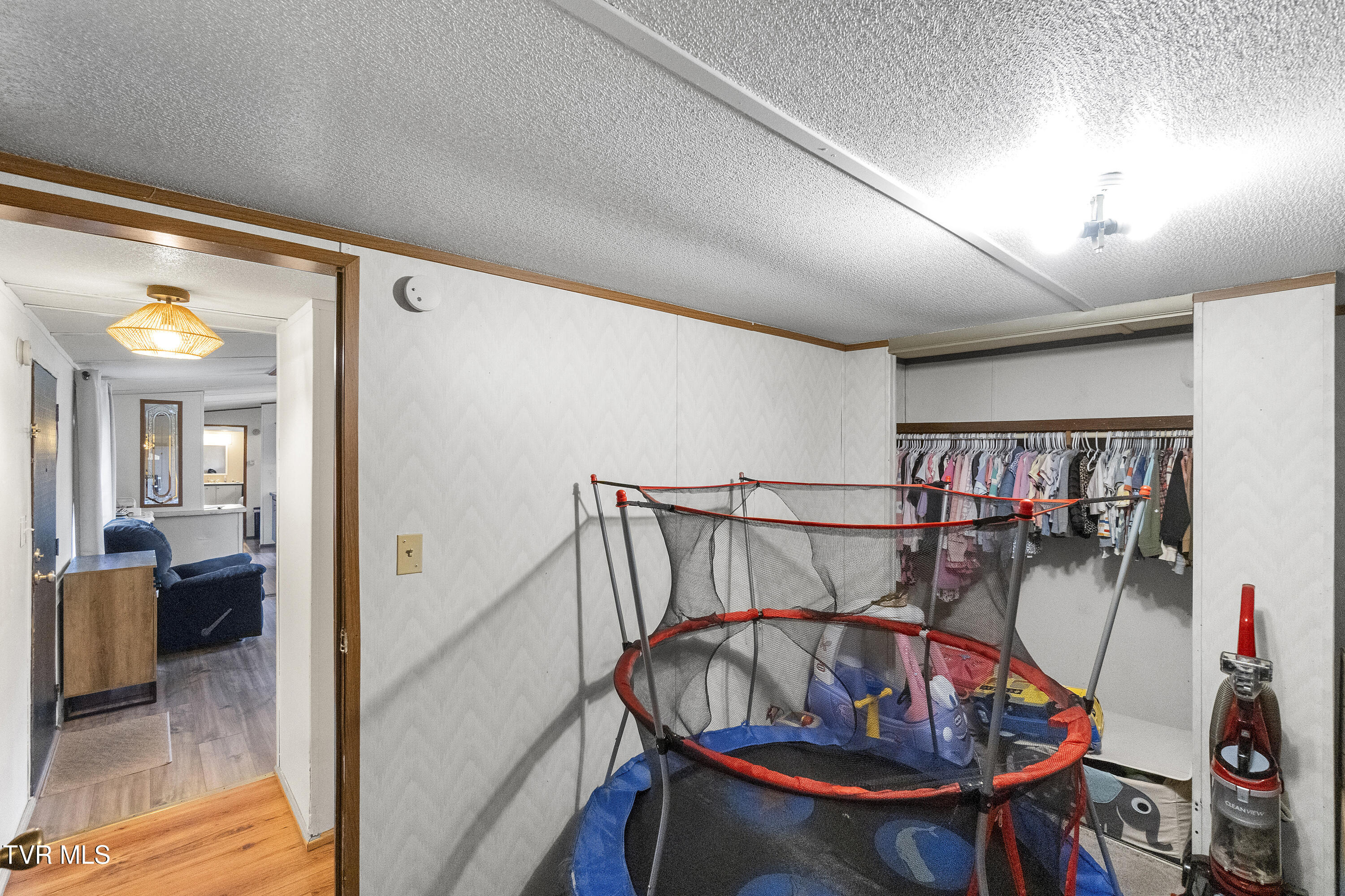 1824 Elmer Hayes Road Mosheim, TN 37818 - Photo 17 of 32 DSC06259