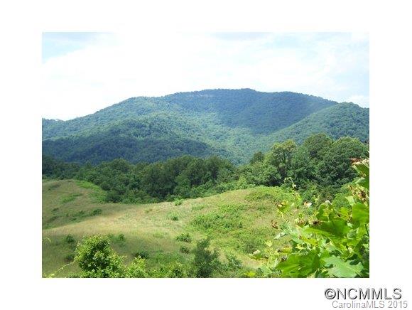 0 Turnpike Road Canton, NC 28716 - Photo 1 of 6