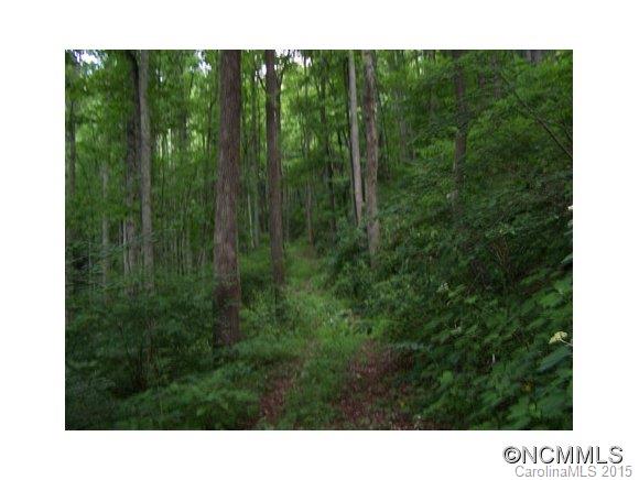 0 Turnpike Road Canton, NC 28716 - Photo 3 of 6