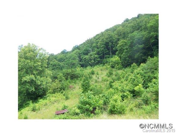 0 Turnpike Road Canton, NC 28716 - Photo 4 of 6