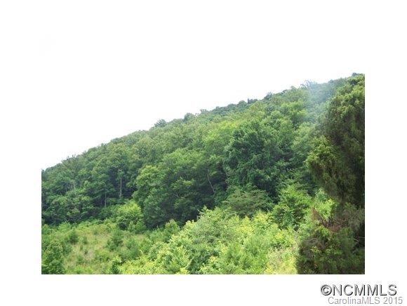 0 Turnpike Road Canton, NC 28716 - Photo 5 of 6