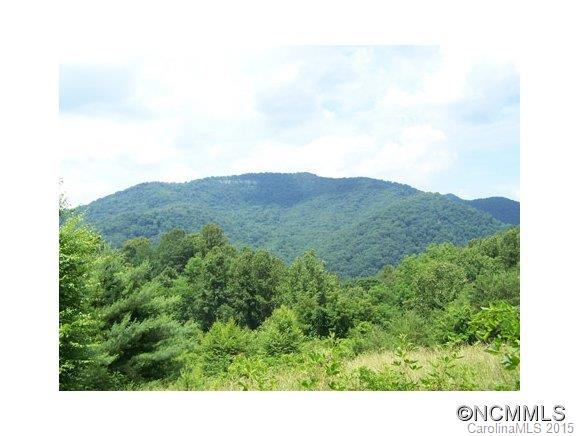 0 Turnpike Road Canton, NC 28716 - Photo 6 of 6