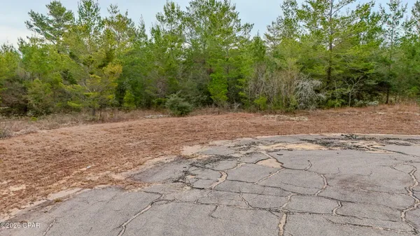 $20,000 | 0 Tassel Court, Chipley, FL 32428