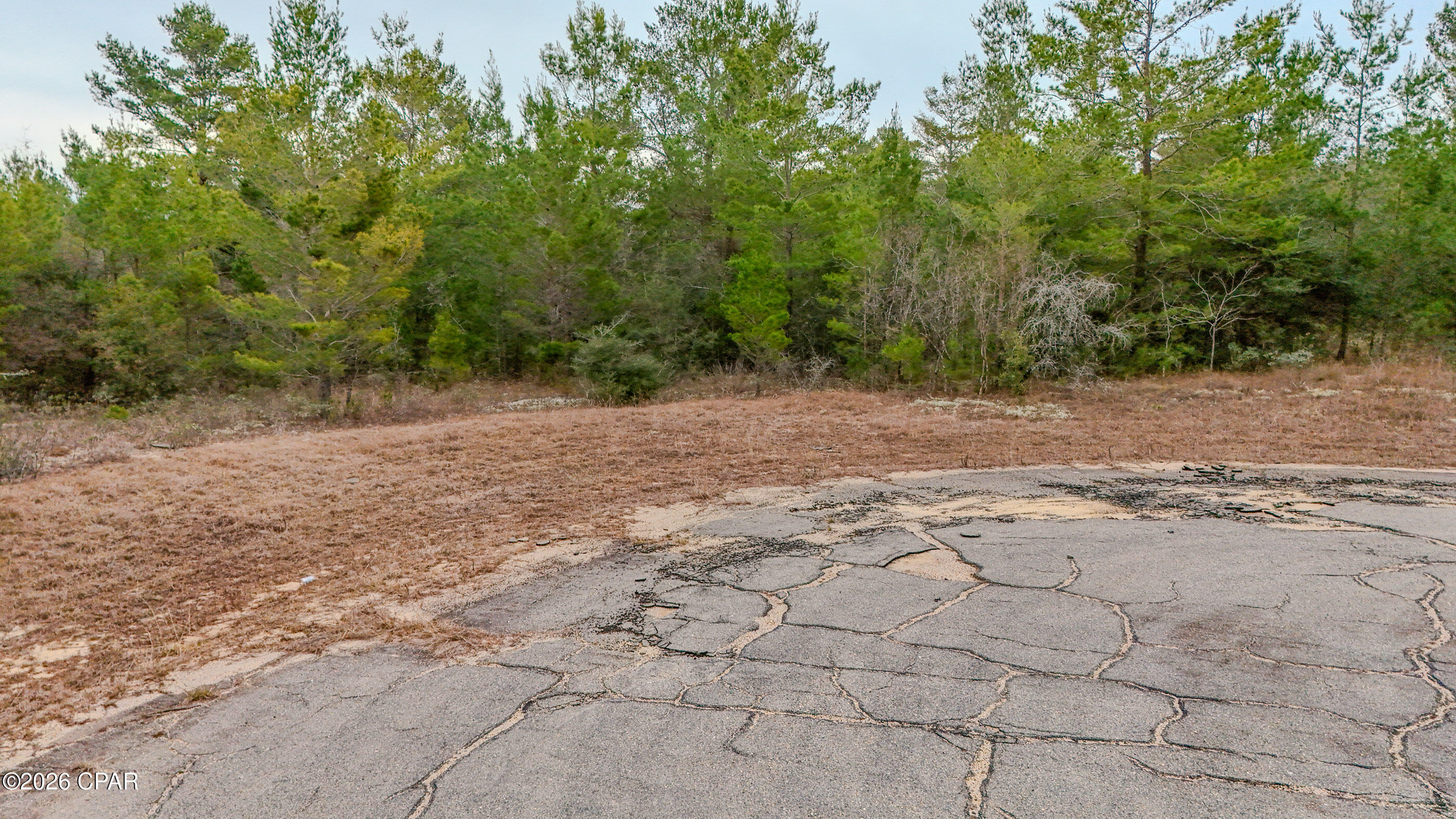 0 Tassel Court Chipley, FL 32428 - Photo 5 of 9