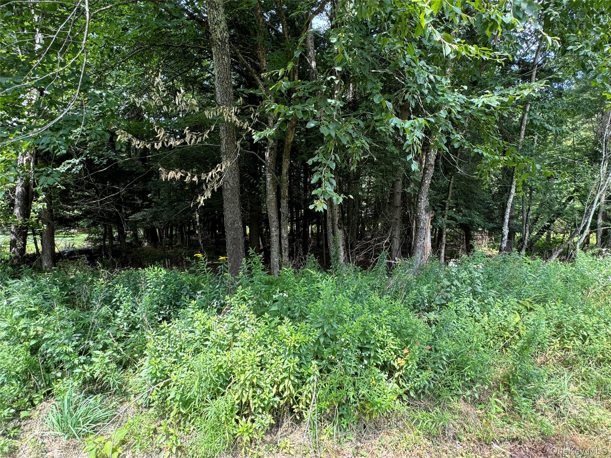 204 Mongaup Road Hurleyville, NY 12747 - Photo 9 of 9 a backyard of a house with lots of green space and chair