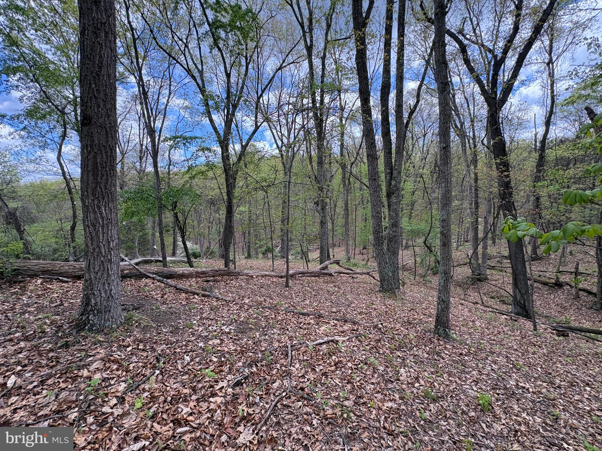 5-ac Beam Road Romney, WV 26757 - Photo 1 of 20 Gallery Image 1
