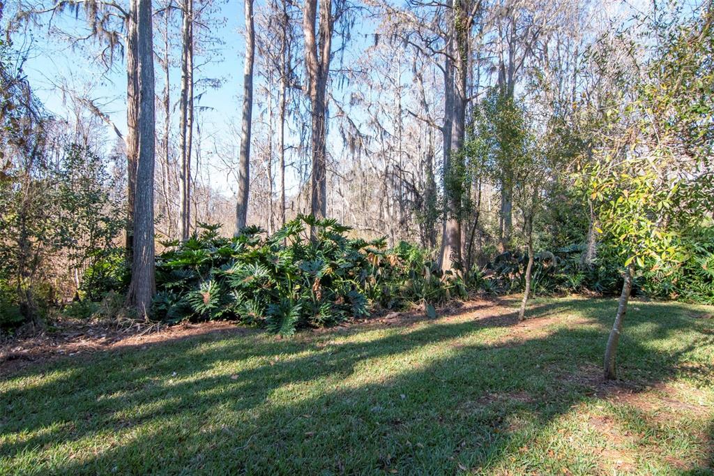 18306 Pleasant Ridge Place Lutz, FL 33548 - Photo 58 of 64
